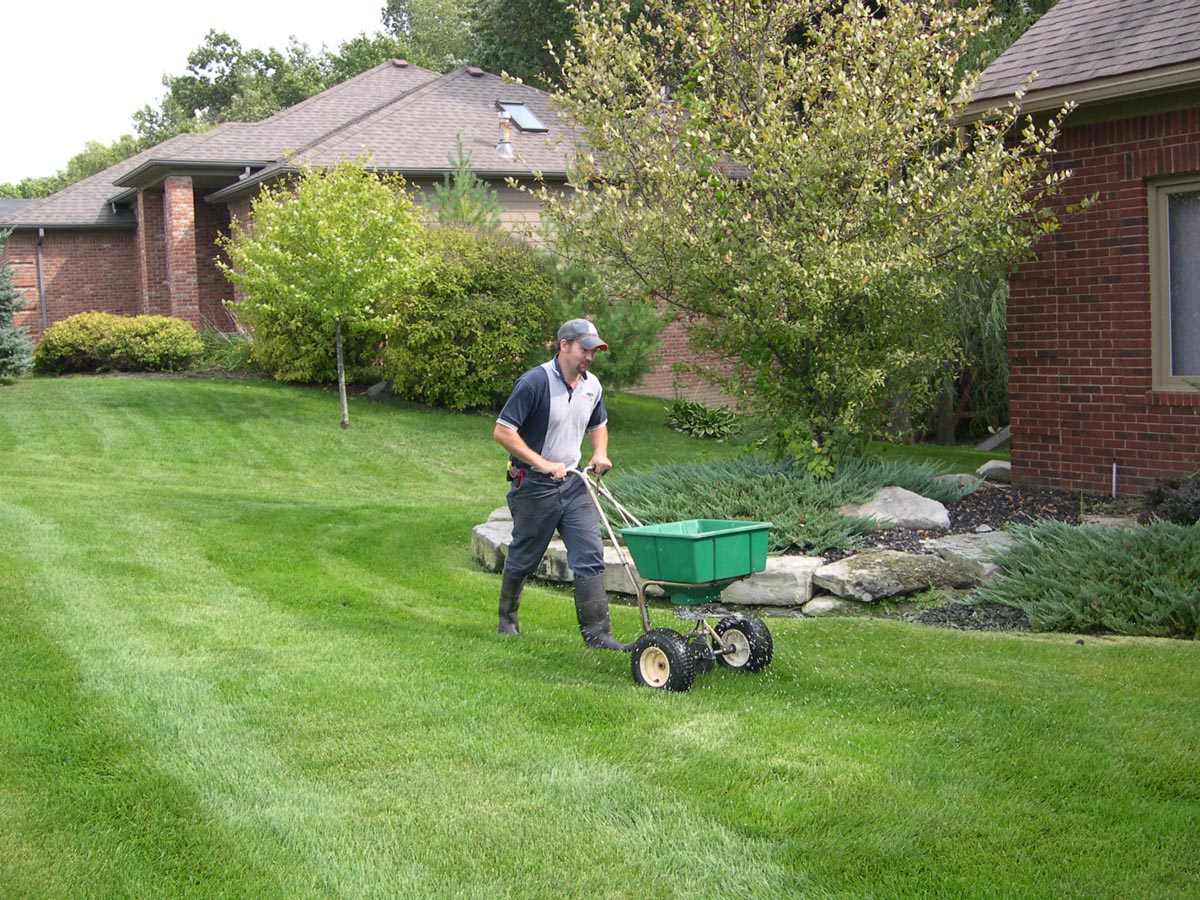 lawn fertilizer maintenance services