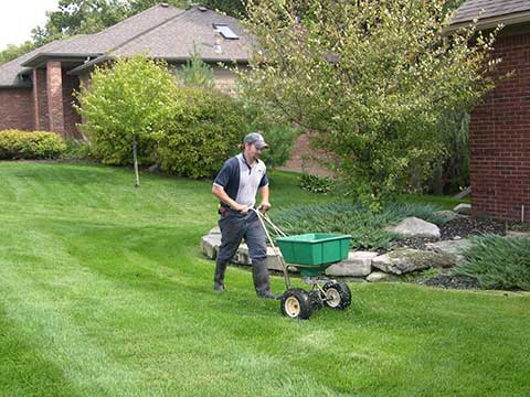 Man fertilizing a lawn