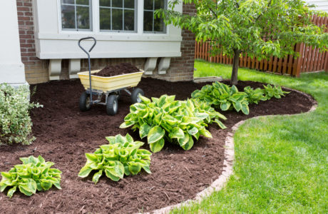 Benefits of Mulching Your Yard