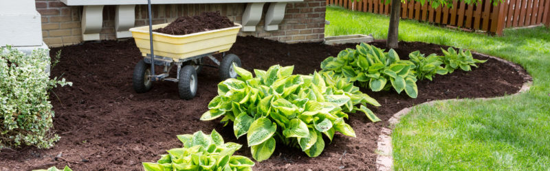 Benefits of Mulching Your Yard