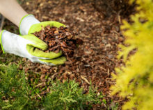 Buyers Guide Evaluating Mulch Options
