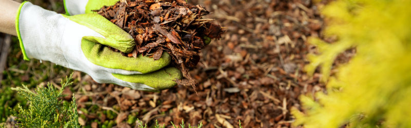 Buyers Guide Evaluating Mulch Options