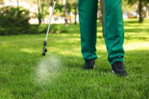 Spraying pesticide onto green lawn outdoors