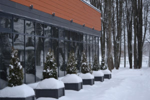 The exterior of a commercial building with large windows in the snowdrifts in winter. The windows reflect the plants planted in front of the building.