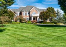 Single family home with large mowed lawn and beautiful landscaping