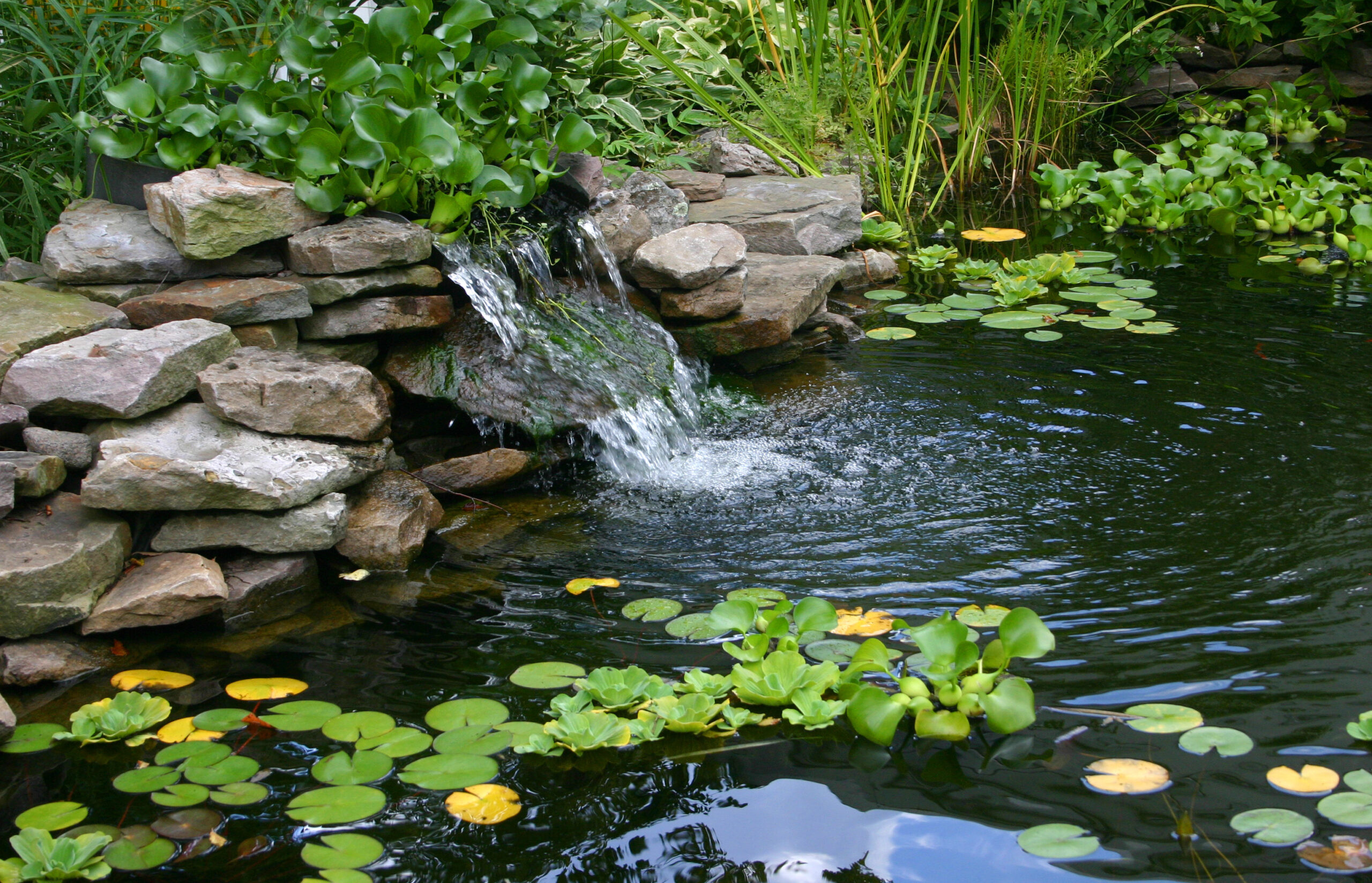 Pond landscaping in Michigan backyard