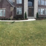 Lawn Landscaping
